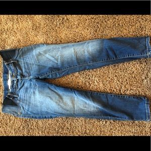 Isabel Maternity Skinny Crop